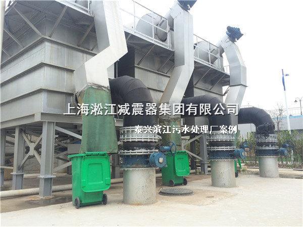 泰興橡膠接頭，污水處理廠橡膠接頭，泰興污水處理廠橡膠接頭