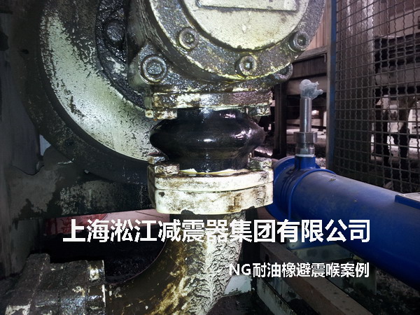 液壓泵NG耐油橡膠避震喉，NG耐油橡膠避震喉照片